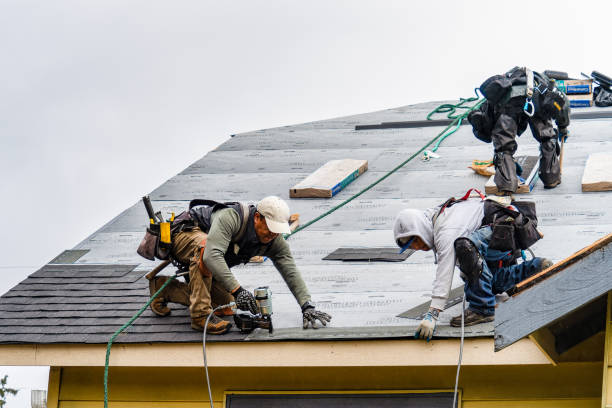 Professional Gutter Installation technician working in Vining, MN